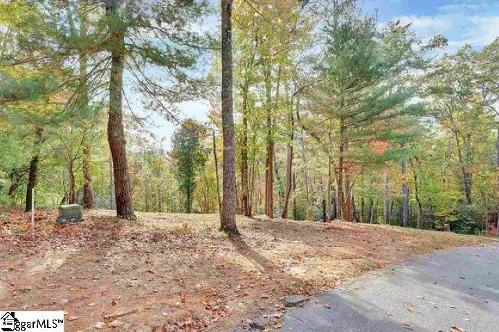 Property image 5 at 119 Oolenoy Court, Pickens, SC 29671