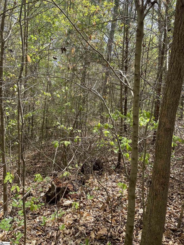 Property image 4 at 0 Buffalo Drive, Greenville, SC 29605