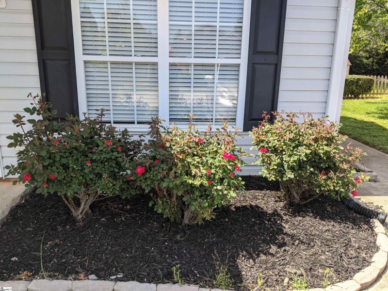 Property image 3 at 11 Fishing Run Court, Taylors, SC 29687