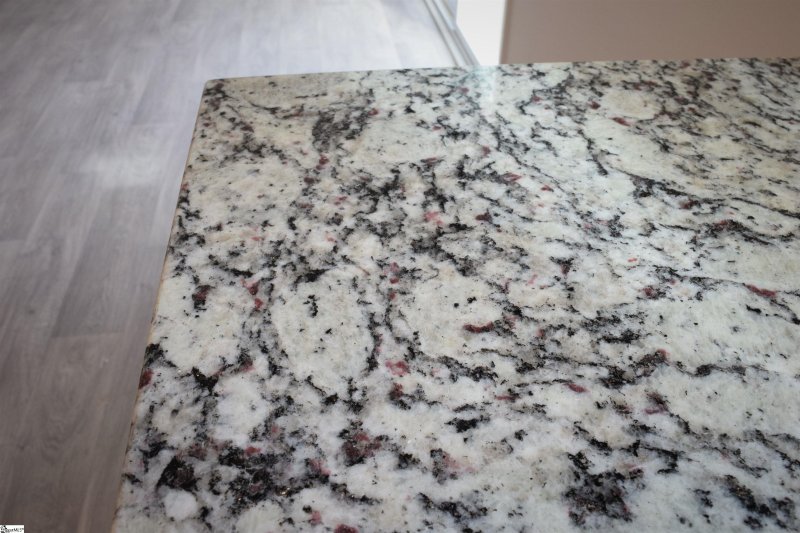 Property image 4 at 1017 Bridlebrook Trail, Greer, SC 29651