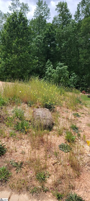 Property image 2 at 317 Brenleigh Court, Simpsonville, SC 29680