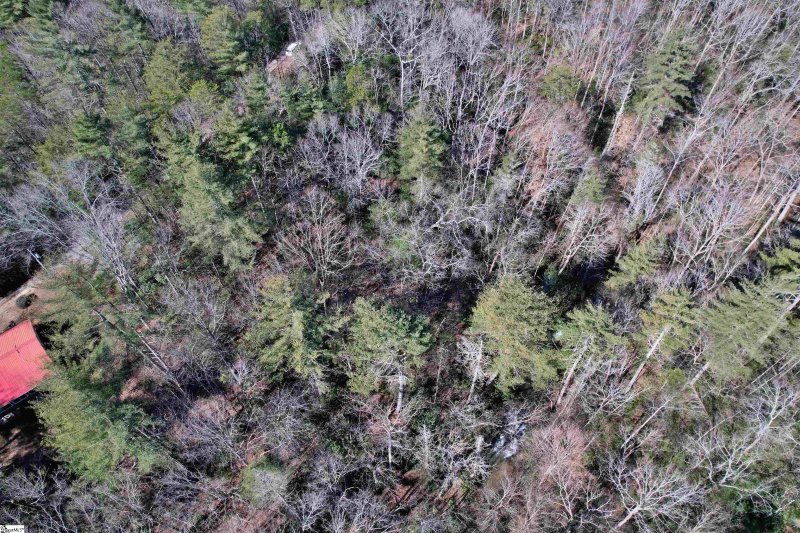 Property image 5 at 375 Gauley Falls Road, Pickens, SC 29671