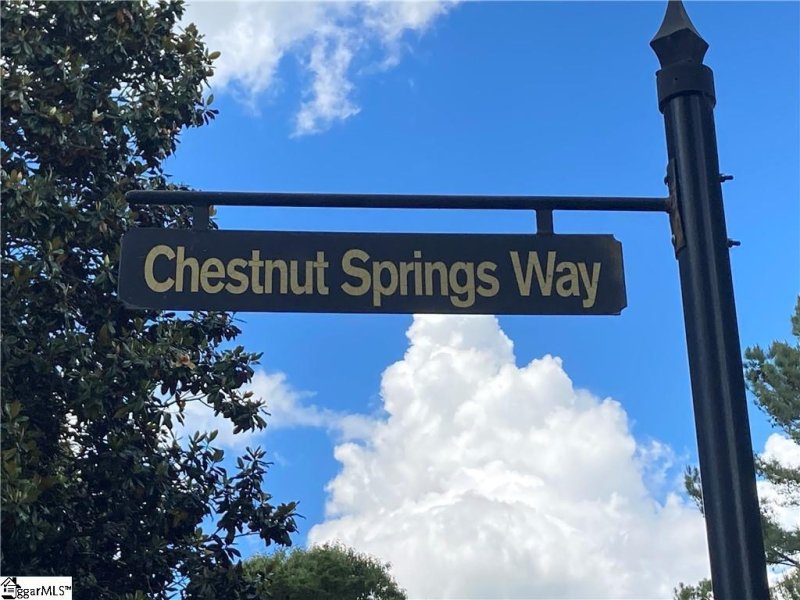 Property image 4 at 219 Chestnut Springs Way, Williamston, SC 29697