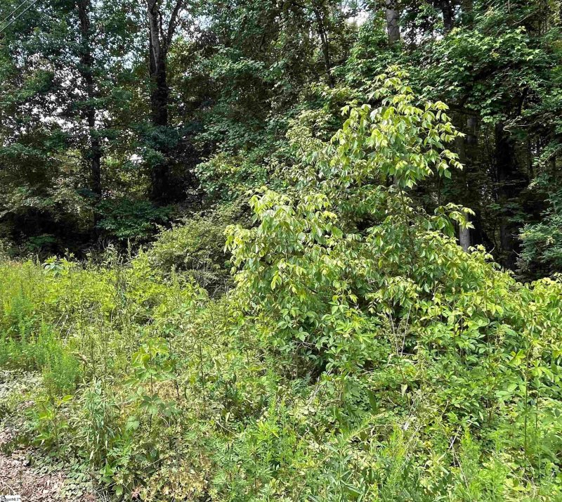 Property image 3 at 0 Woodburn Drive, Taylors, SC 29687