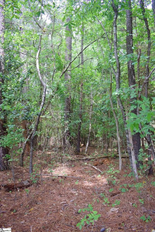 Property image 5 at 113 Leon Drive, Anderson, SC 29624