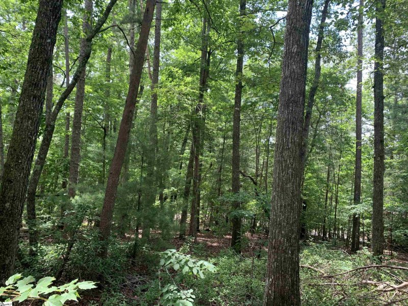 Property image 4 at 0 Keowee Bay Circle, Salem, SC 29676