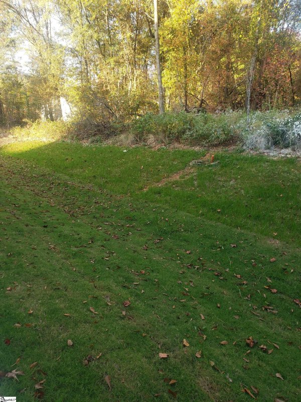 Property image 4 at 213 Broad Banyan Court, Greer, SC 29650