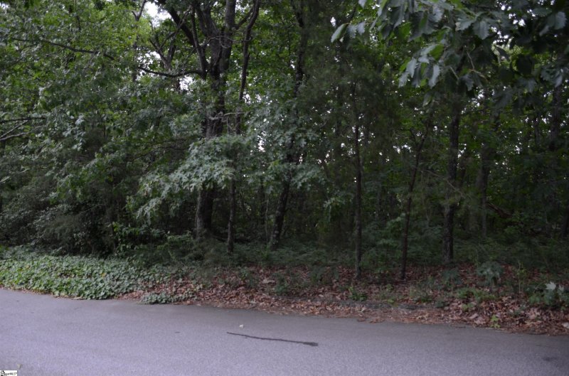 Property image 2 at 00 Altamont Forest Drive, Greenville, SC 29609