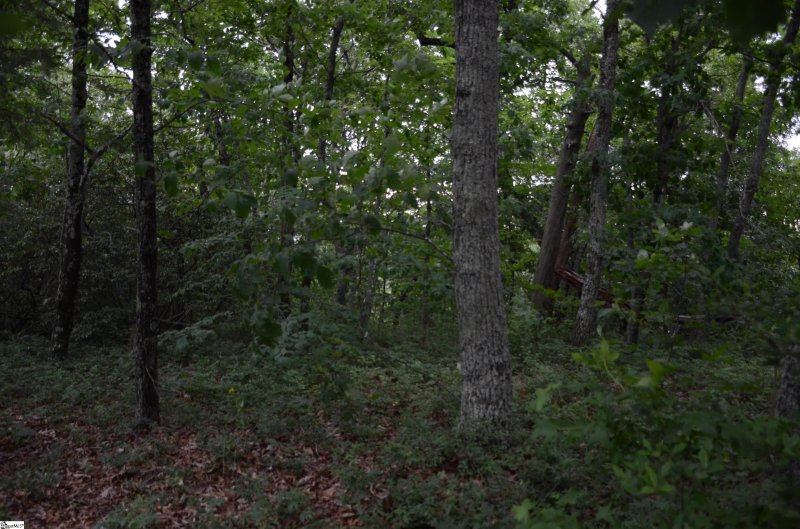 Property image 3 at 00 Altamont Forest Drive, Greenville, SC 29609