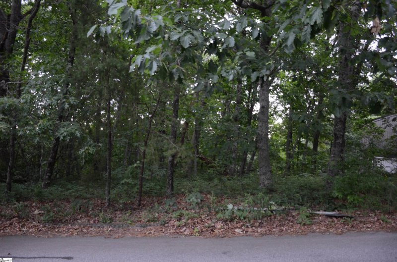 Property image 4 at 00 Altamont Forest Drive, Greenville, SC 29609
