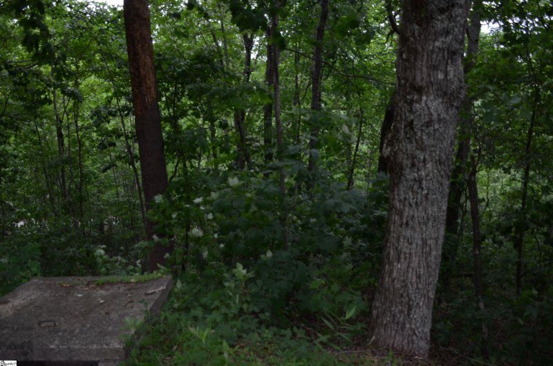 Property image 4 at 00 Altamont Forest Drive, Greenville, SC 29609