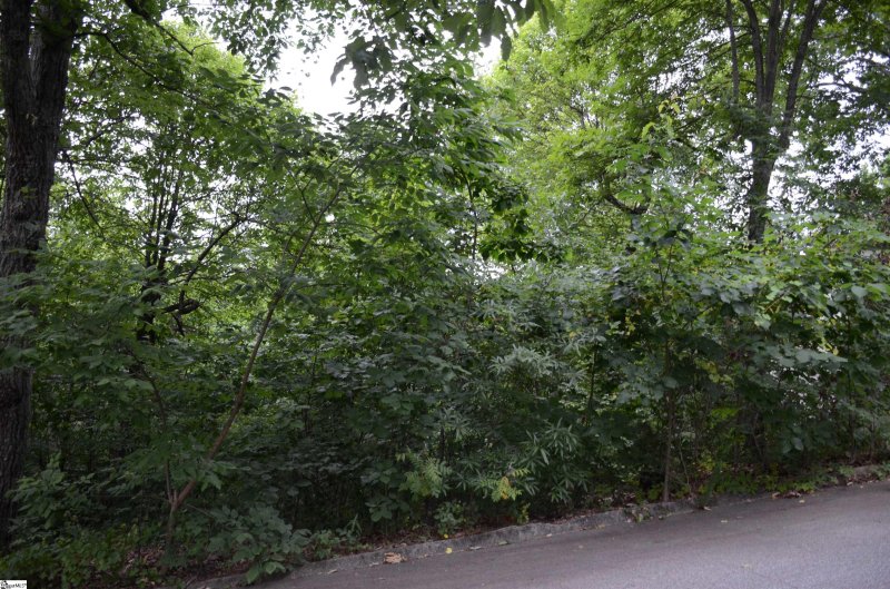 00 Altamont Forest Drive