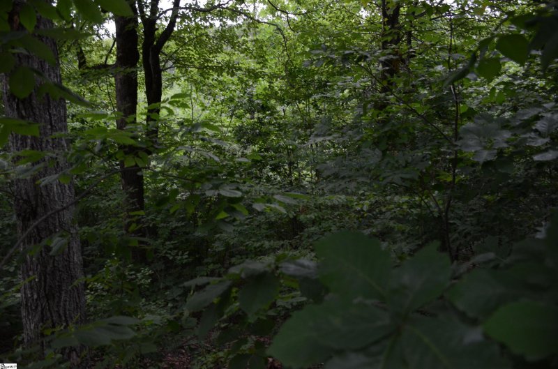 Property image 2 at 00 Altamont Forest Drive, Greenville, SC 29609