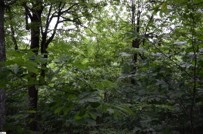 Property image 4 at 00 Altamont Forest Drive, Greenville, SC 29609