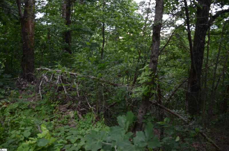 Property image 4 at 00 Altamont Forest Drive, Greenville, SC 29609