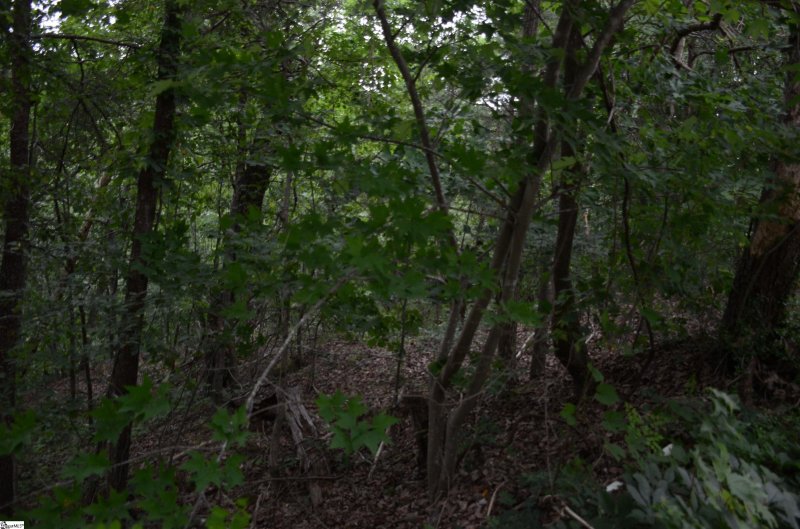 Property image 5 at 00 Altamont Forest Drive, Greenville, SC 29609