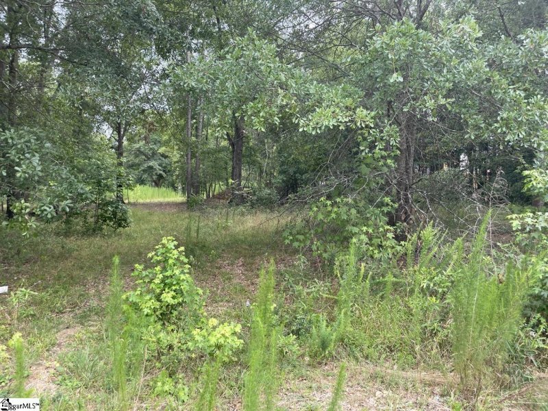 Property image 2 at 104 Gate Court, Williamston, SC 29697