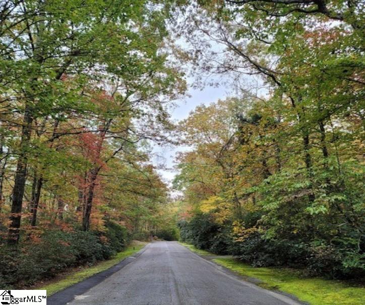 Property image 2 of 3 Larkspur Lane in Cliff Ridge at Caesars Head, Cleveland, SC 29635