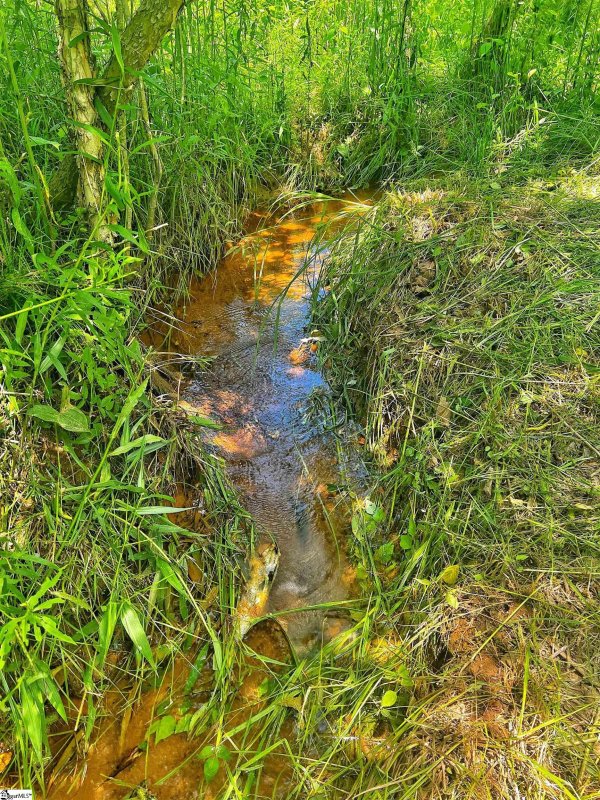 Property image 3 at 153 Silvery Lane, Liberty, SC 29657