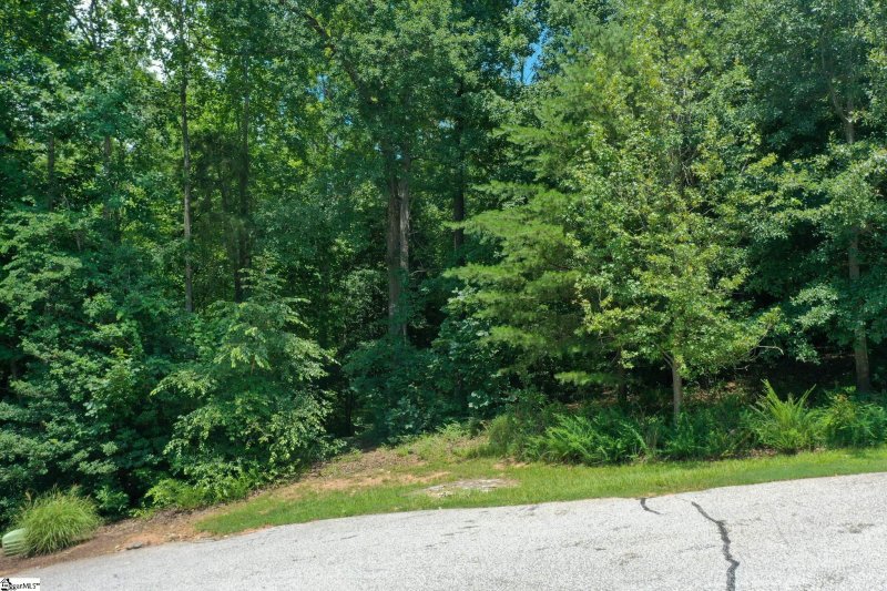 Property image 4 at 108 Chattoga Court, Piedmont, SC 29673