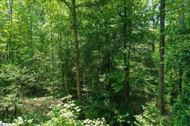 Property image 5 at 108 Chattoga Court, Piedmont, SC 29673