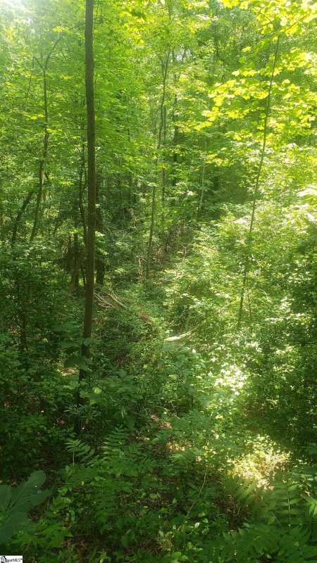 Property image 2 at Lyle Drive, Taylors, SC 29687