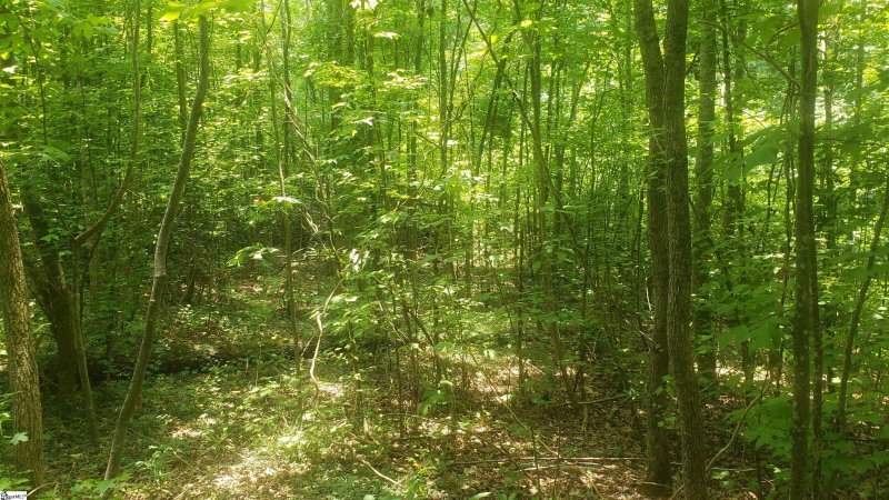 Property image 4 at Lyle Drive, Taylors, SC 29687