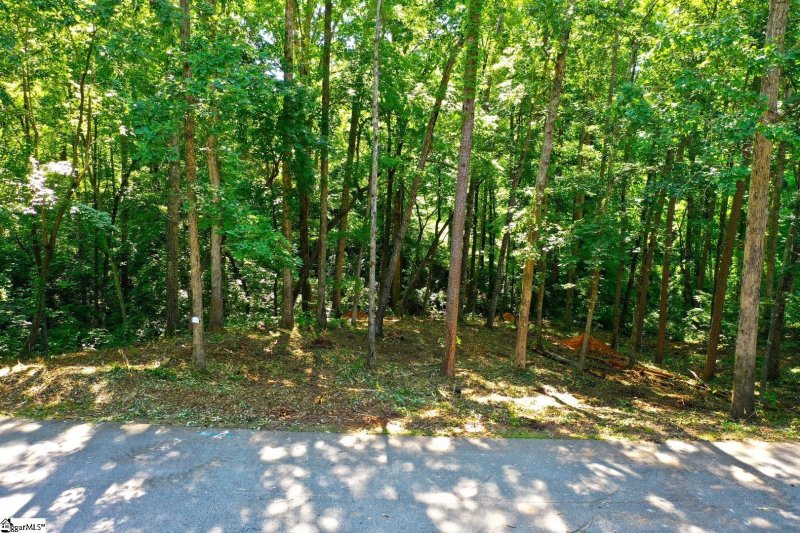 Property image 3 at 0 Summersweet Lane, Seneca, SC 29672