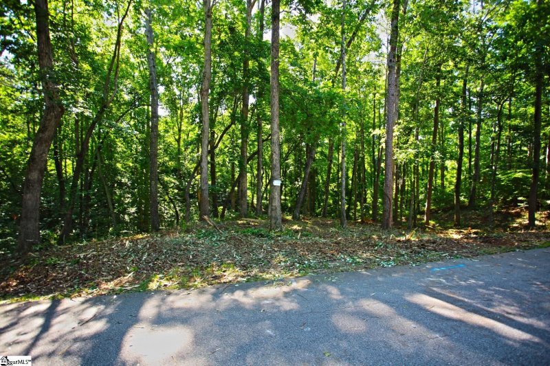 Property image 5 at 0 Summersweet Lane, Seneca, SC 29672