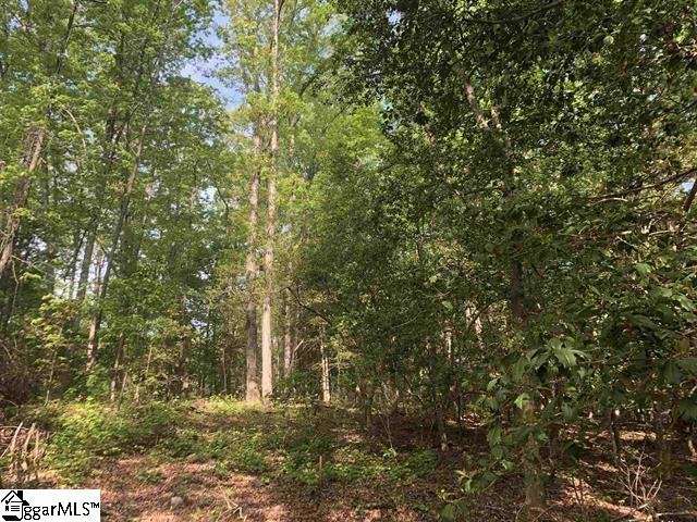 Property image 2 at 26305 Carolina Way, Fountain Inn, SC 29644