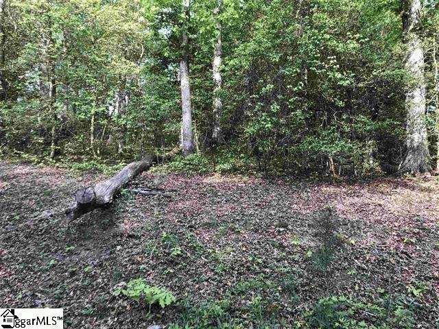 Property image 3 at 26305 Carolina Way, Fountain Inn, SC 29644