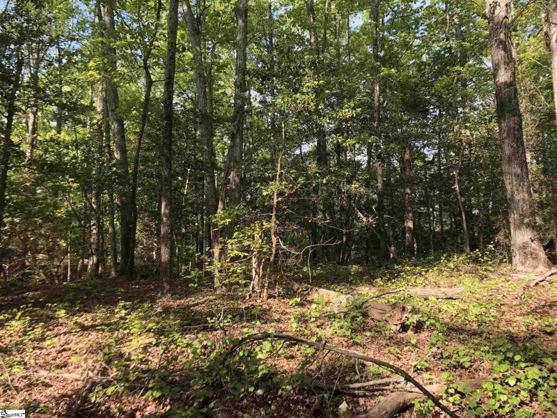 Property image 4 at 26305 Carolina Way, Fountain Inn, SC 29644