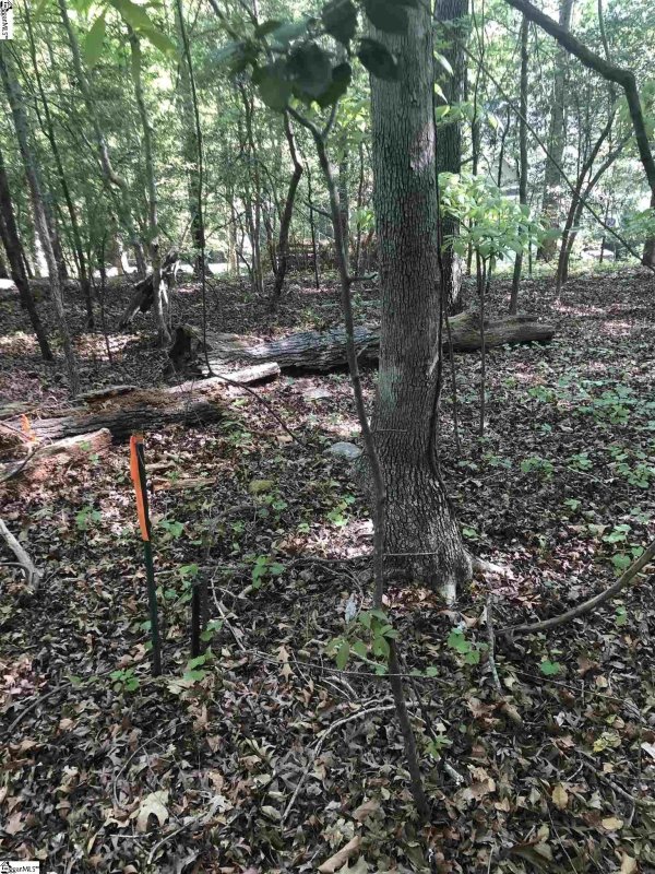 Property image 5 at 26305 Carolina Way, Fountain Inn, SC 29644