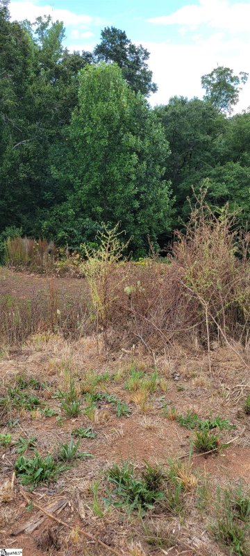 Property image 2 at 193 Chandler Crest Court, Greer, SC 29651