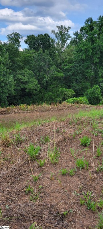 Property image 3 at 193 Chandler Crest Court, Greer, SC 29651