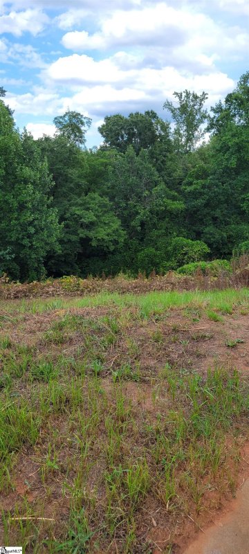 Property image 4 at 193 Chandler Crest Court, Greer, SC 29651