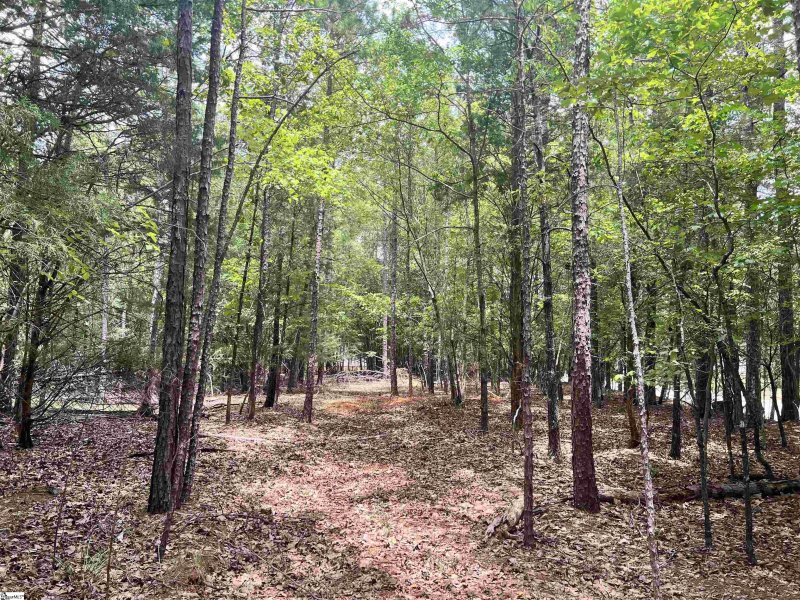 Property image 2 at 118 & 120 Indian Ridge Drive, Laurens, SC 29360