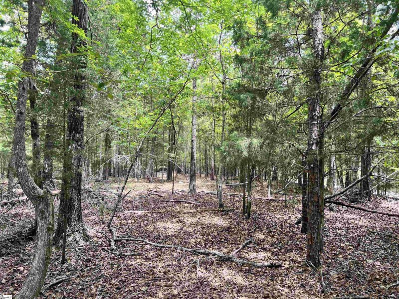 Property image 3 at 118 & 120 Indian Ridge Drive, Laurens, SC 29360