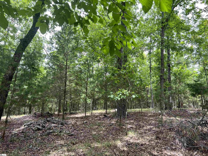 Property image 4 at 118 & 120 Indian Ridge Drive, Laurens, SC 29360