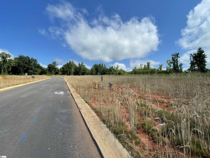 Property image 4 at 405 Drovers Court, Travelers Rest, SC 29690