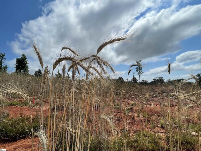 Property image 5 at 405 Drovers Court, Travelers Rest, SC 29690