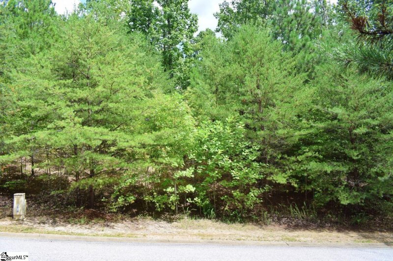 23 Timberline Drive