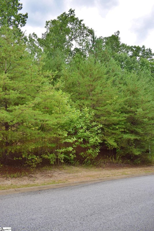 Property image 2 at 23 Timberline Drive, Travelers Rest, SC 29690