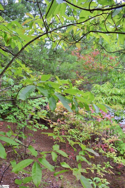 Property image 3 at 23 Timberline Drive, Travelers Rest, SC 29690