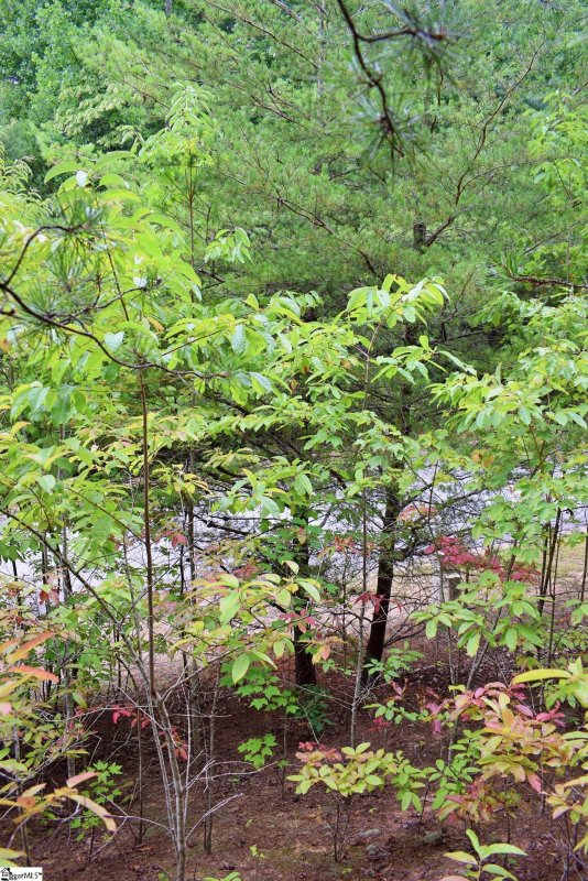 Property image 4 at 23 Timberline Drive, Travelers Rest, SC 29690
