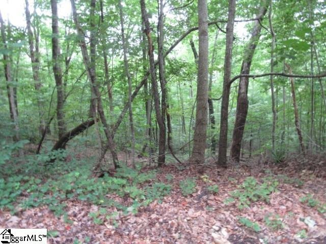 Property image 4 at 122 Ledge Road, Cleveland, SC 29635