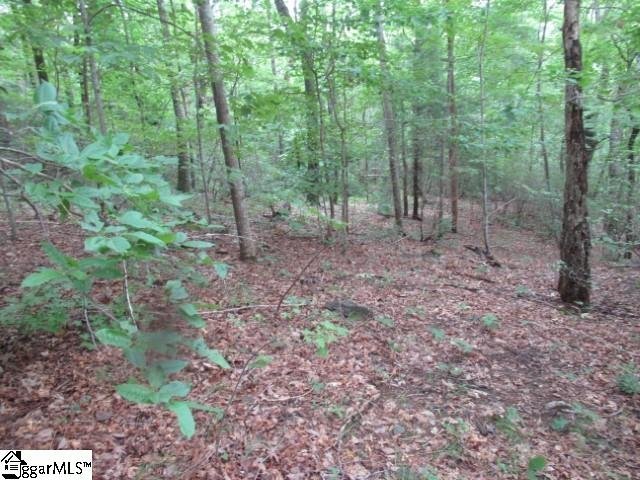 Property image 5 at 122 Ledge Road, Cleveland, SC 29635