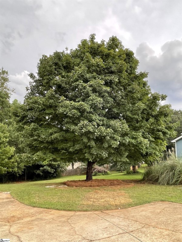 Property image 5 at 102 Briarcliff Way, Greer, SC 29651