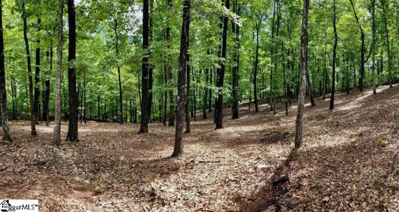 Property image 2 at 141 Cherokee Rose Trail, Marietta, SC 29661