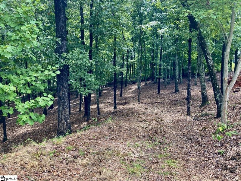 Property image 4 at 141 Cherokee Rose Trail, Marietta, SC 29661